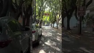 22 de julho de 2024