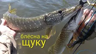 Ловля щуки жарким летом! Приманка на щуку!!!