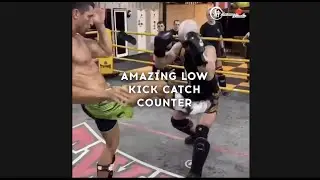 Amazing Muay Thai Counters