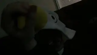 Beak stroke