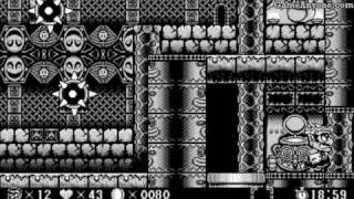Wario Land [Virtual Boy] - Level 13