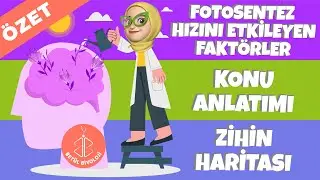 Fotosentez Hızını Etkileyen Faktörler | 12. Sınıf Biyoloji | AYT Biyoloji
