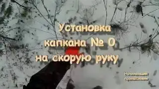 Установка капкана на соболя на скорую руку