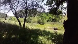 Рідне село Богдано   Надеждівка