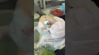 На что способна мама хомяк #факты