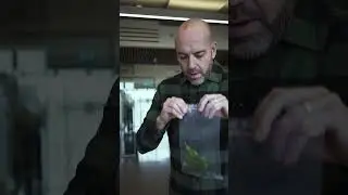 Video dimostrativo, IT | The Leaf Spot Disease Kit