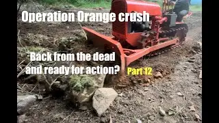 Clearing land with a 75 year old micro bulldozer how hard could it be?
