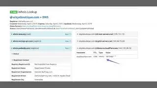 How to Fix Cloudflare Proxy Error In Shopify