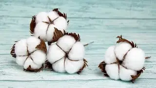 DIY cotton. How to make a cotton flower from crepe paper.