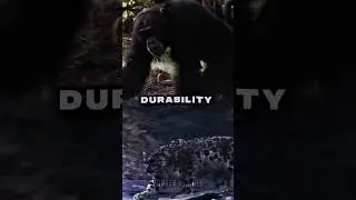 Chimpanzee VS Snow Leopard | #shorts #edit #animals #wildlife