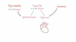 Introduction to hypoxemia