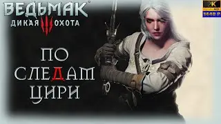 15. Ведьмак: дикая охота🐺🗡️🏰/ По следам Цири