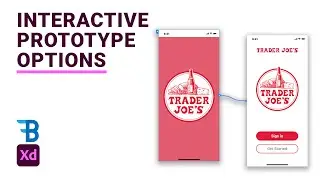 Prototyping Interaction Overview | Adobe Xd | Blue Fin Design