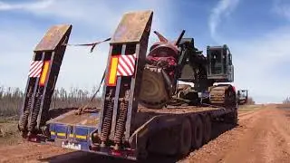 lowboy trailer Тралы  ВПМ CAT-541