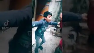 Ali Hüseyin tik tok(5)
