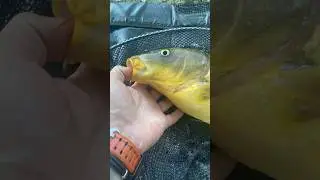 Распаковка 🤣 
