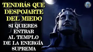 Everything Is Consciousness! Unlock the Hidden Energy Within You | Wisdom of the Master