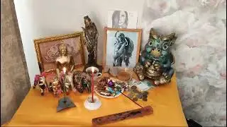 Хотите-верьте. Хотите-нет. Видео от семьи Ко🤫😉