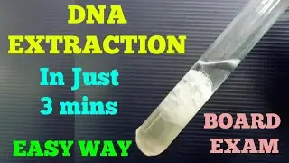 How to Extract DNA from Banana Sample || Easy Way in just 3 mins