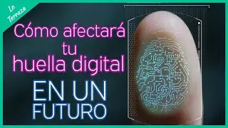 ¿Sabes quién está viendo tu huella digital en línea? Aprende cómo protegerte | LaTerraza