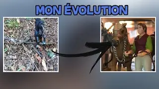 Mon évolution en photo 📸
