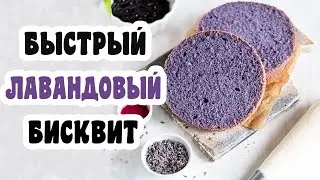 Рецепт лавандового бисквита с натуральным красителем