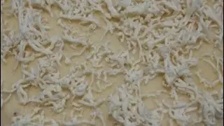 NILUPAK NA KAMOTENG KAHOY. PINA EASY,PINA SARAP.