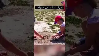 لن تصدق كيف تصرف هذا الأرنب عندما حاولا هؤلاء الأطفال تقديم الطعام له 