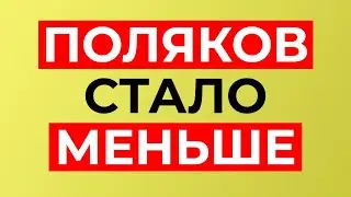 Сколько на самом деле население Польши? Первые результаты переписи 2021