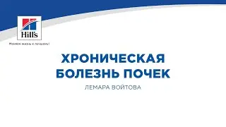 Вебинар на тему: 