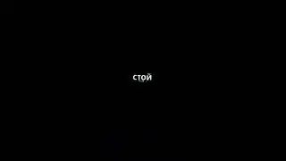 А можно я с тобой? #прикольноевидео