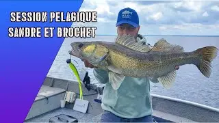 petite session du week-end