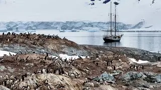 We went to Antarctica on a wooden sailing ship. We met whales and other inhabitants of the ice world