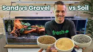 SAND vs GRAVEL vs PLANTED SOIL…WHICH Is RIGHT For You?