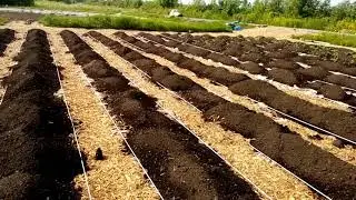 Market garden beds, #15-35