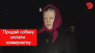 Шарий. Пенсионерка, которой предложили продать собаку чтобы оплатить коммуналку.