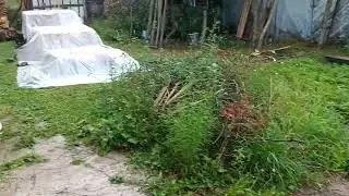 Дом у озера. Дождь.