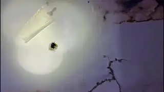 If you find this type of damage in your home, its time to give us a call - signs of termites