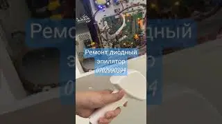 24 декабря 2023 г.