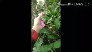 Было очень классно !!!)