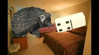 Weird Times at a Motel  -  Reading Fanfic while playing Ty the Tasmanian Tiger 2 Ep 9
