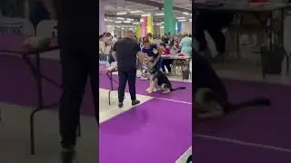 Ольвал Дэнис РУМБАЛУ