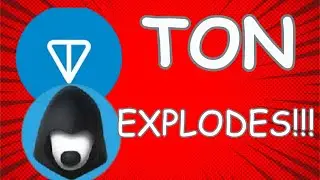 Ton Ecosystem Set To Explode!!!!