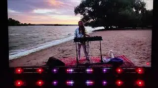Purple Dolphin┃Digital Dreamers┃Melodic House & Techno  | #Real-time #music #visualization #dj