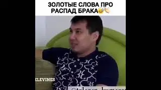Золотые слова про развод брата прикол