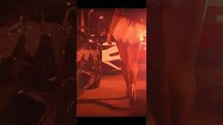 Fast & Furious: Tokyo Drift 2024 Madness