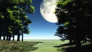 Vue 10 Animation Full moon forest animation