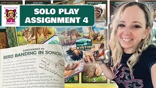 Solo Play: Assignment 4 - Keystone North America