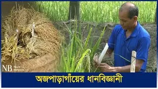 কৃষক থেকে ধান গবেষক সেন্টু হাজং, ১৭ বছরে ২৩ জাত উদ্ভাবন | Sentu Kumar Hajong | New rice varieties