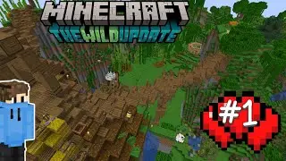 SOOO..... I STARTED A MINECRAFT WORLD